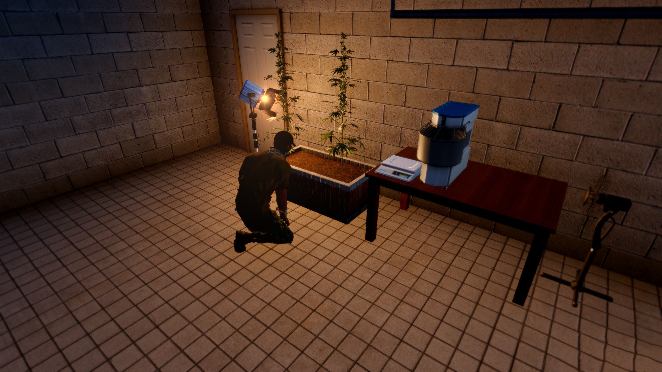Criminal Activities